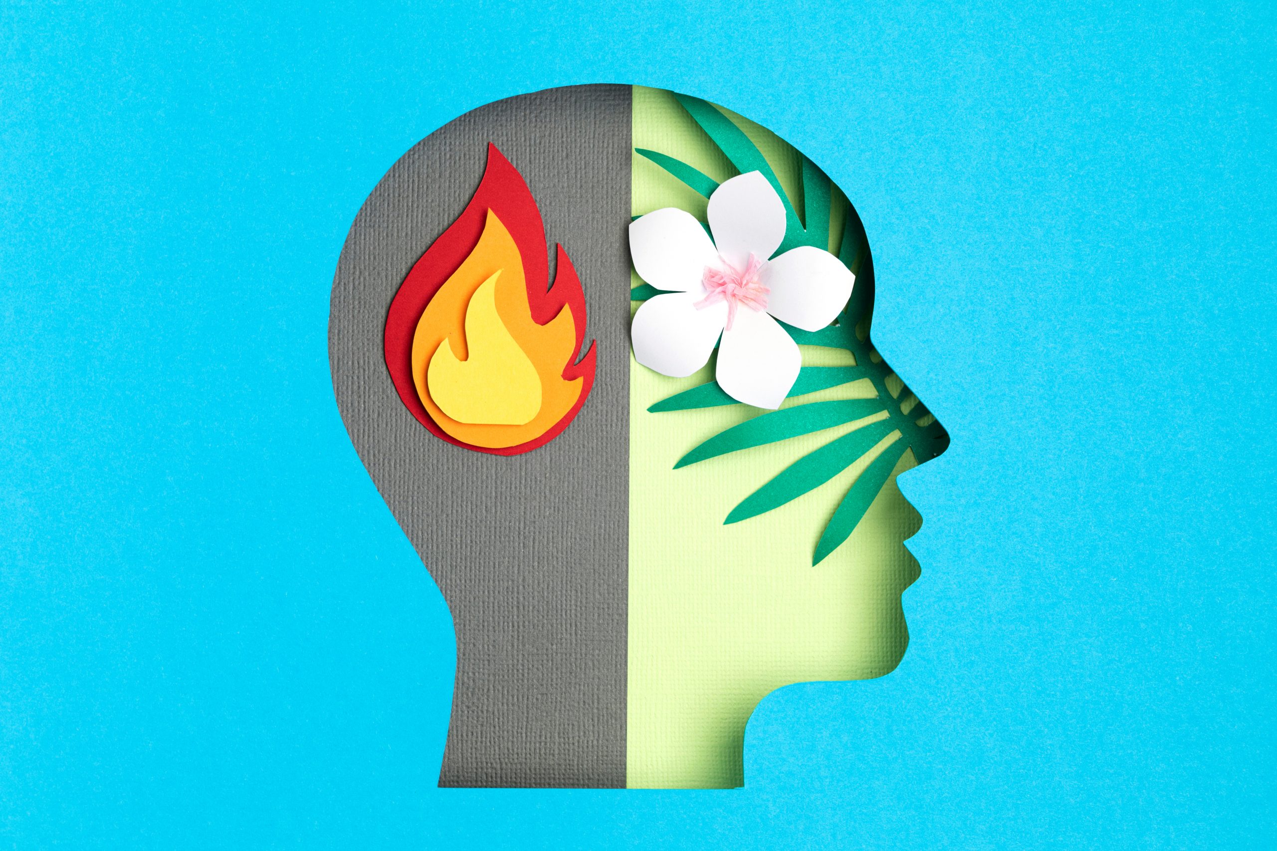 Enjoy Counseling Options — Top 5 Ways to Help the Helpers